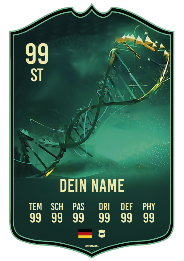 FUTCARD FC24 EVOLUTION PREMIUM